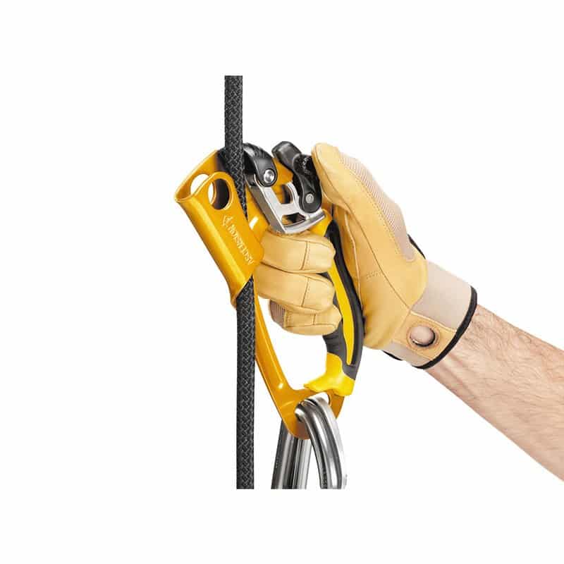petzl ascension