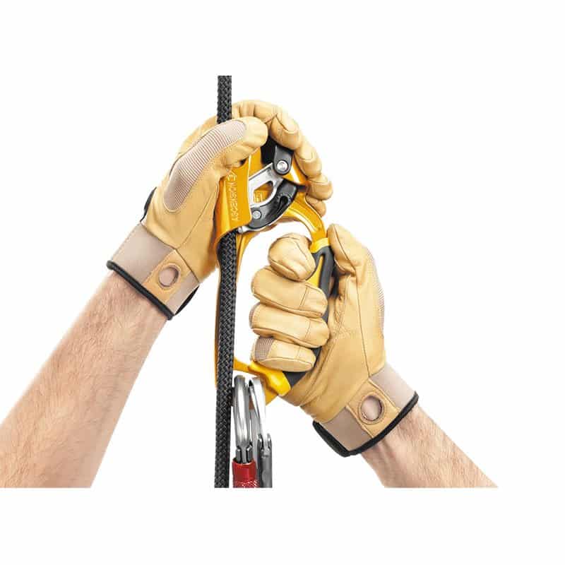 petzl ascension